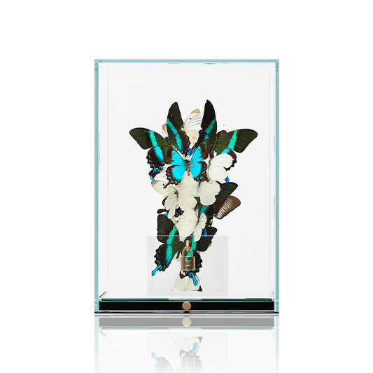 Roman Feral's Artwork Combines Real Butterflies With Designer Goods – Robb  Report