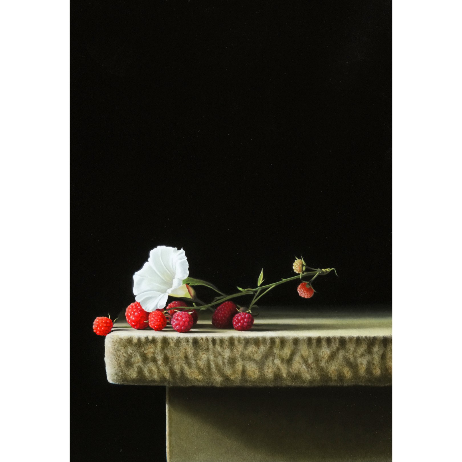 LES FLEURS DE FRAMBOISES - PIERRE-YVES RUSSO - Galeries Bartoux